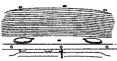 width=